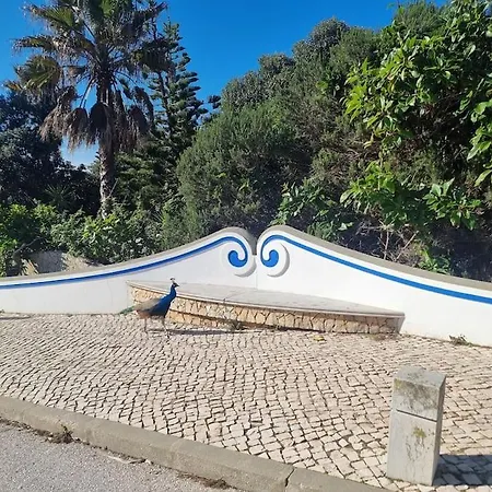 Mar A Vista By 에리세이라